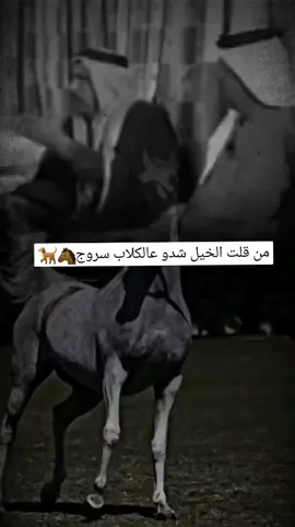 #الشاعر_رمضان_علي_سليمان #ابو_معمر #الشاعر_احمد_العبدالرحمن_اللهيبي #الشاعر_ليث_العلي #منعم_العلي 