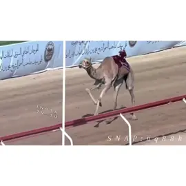 غدير صاحبة السياره وافضل توقيت ١٢:٢ 