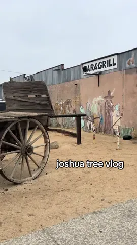 joshua tree mini vlog :) yay #Vlog #desert #joshuatree 