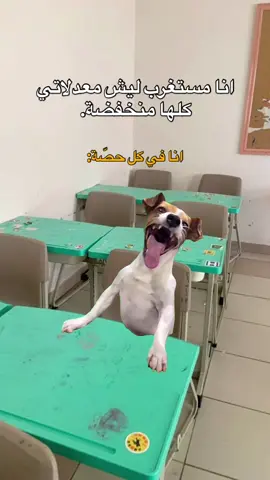 حقيقة😂💔.  #fyp #viral #explore #الشعب_الصيني_ماله_حل😂😂 #مالي_خلق_احط_هاشتاقات #foryou #memes #منشن_للي_تحبه #طاقيه_طاقيها😁❤️💍 