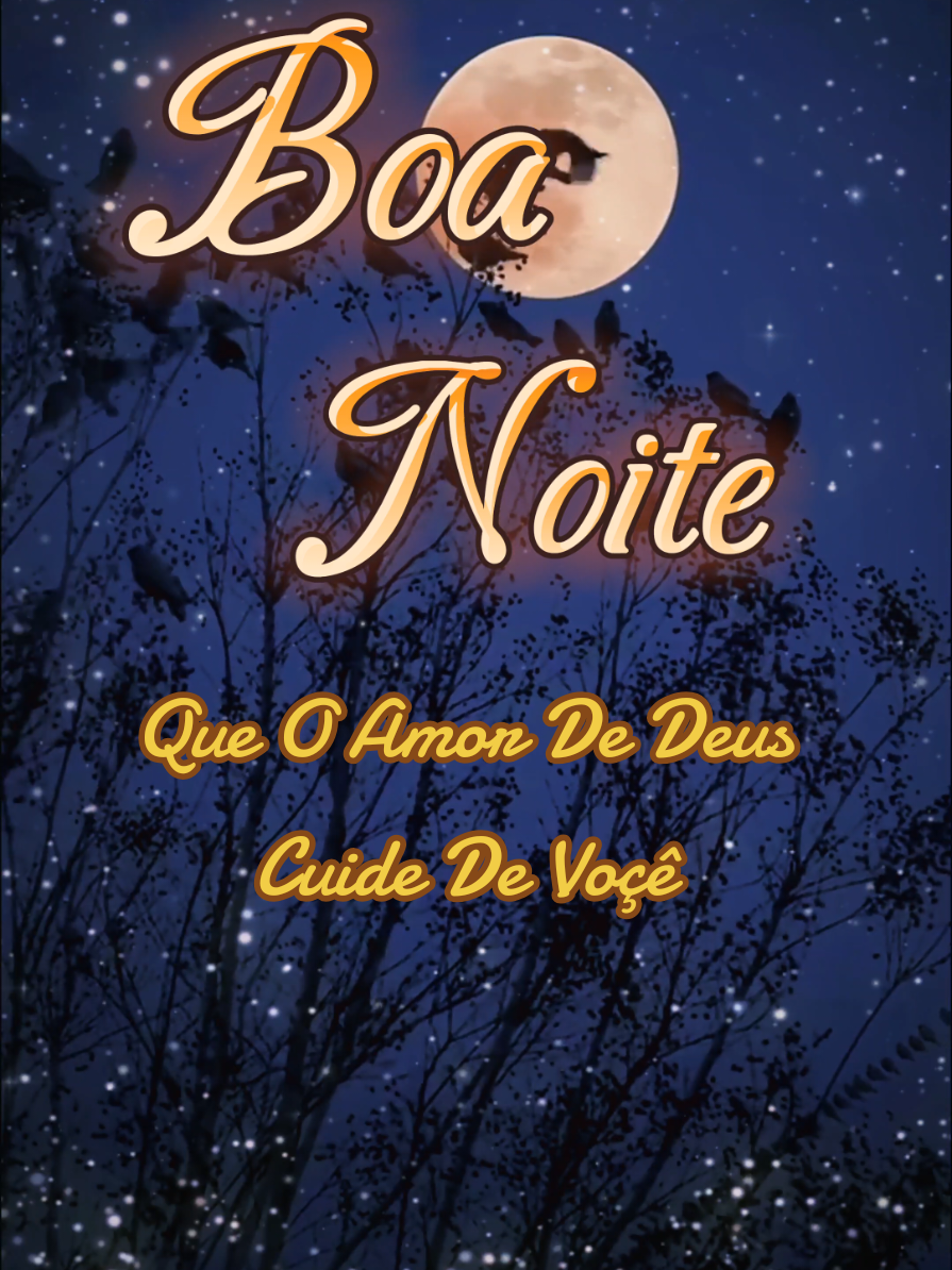 Boa Noite! Tenha Uma Bela Noite 🌙 ✨️ #Boanoite #Acredite #tenhafe #amordedeus #belanoite 