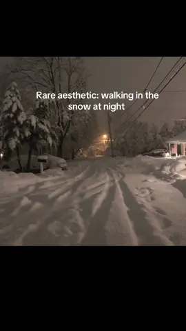 The way the moonlight reflects off the snow making it have that whimsical lighting (makes me feel like a ghost in purgatory lol) 😍😍🥰🥰🥰🥰🫶🏻 #greenscreen #rareaesthetic 