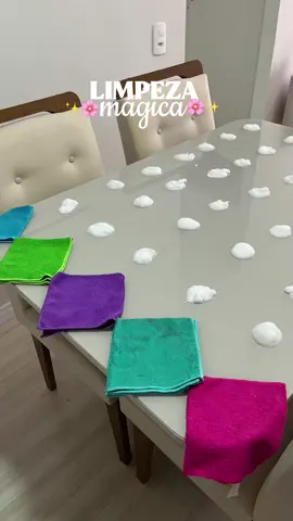 Limpeza satisfatória de casa