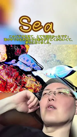 #makun #まぁくん #sea #海 