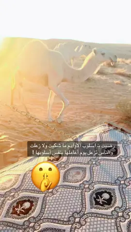 رضيت بـ اسلوب الأوادم ما شكيت ولا زعلت والناس تزعل يوم أعاملها بنفس أسلوبها !  #هشتاقاتي_الترند_المشهور #شعر #يوم #اكسبلور #الشعب_الصيني_ماله_حل😂😂 