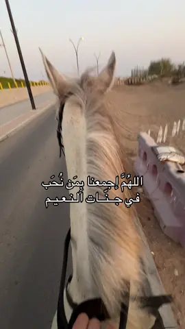 @ً  ربي يبارك بحلالج 🤍 #fyp #❣️ #foryoupage #4u #fyppppppppppppppppppppppp 