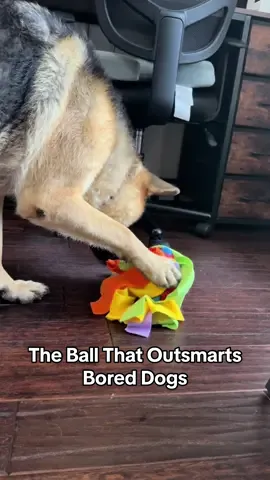 Okay… this dog snuffle ball is genius. 🐾 You hide their kibble or treats inside, and suddenly dinner time = brain workout + playtime. Keeps my pup entertained, slows down eating, and saves me from chaos. 🙌 #D#DogEnrichmentToysS#SnuffleBallD#DogMomFindsWFHMomHacks #tiktokshoplabordaysale 