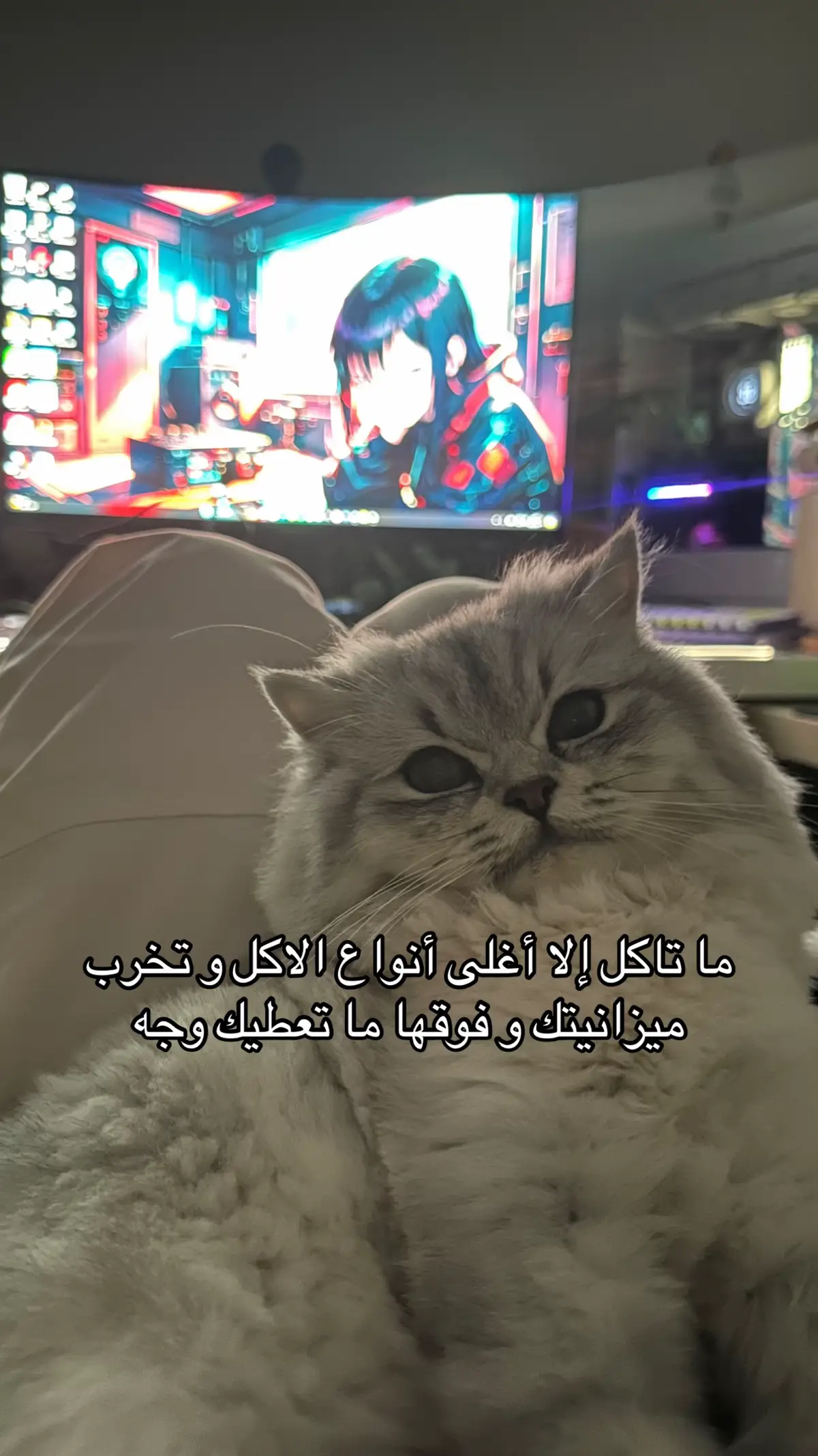 #cat