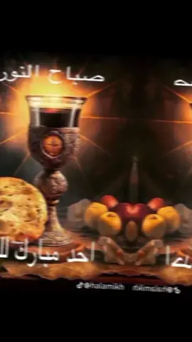 #يسوع_انت_الهي✝️ 