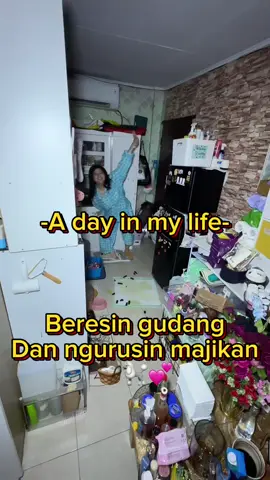 #adayinmylife beresin kamar bentuknya gudang🤗🏡🧺💕 Dan gak lupa ngurusin para majikan🐾🙃🙂  #dailyvlog #minivlog #dailylife 