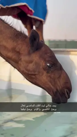 #اكسبلورexplore #صوره_وقصيده #يومياتي #العزبه 
