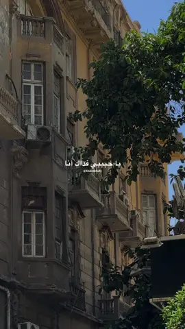فداك قلبي اللي حبك 💔 #خالد_الصيفي #مياده_الحناوي #الحب_اللي_كان #زمن_الفن_الجميل  @خـالـد | khaled 