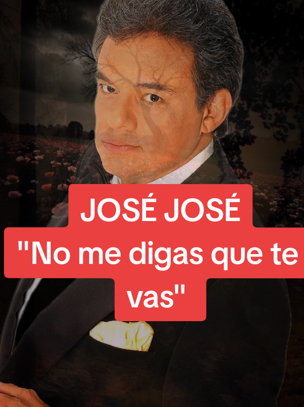 Baladas románticas ❤️🎼🎵/ #josejose#nomedigasquetevas #baladasromanticas #lorenaromantica 