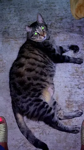😂😂😭 #Love #catchallenge 