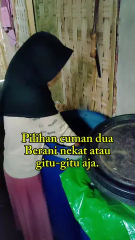 Pilihan cuman ada dua berani nekat atau gitu gitu aja. #peternakkambing #kambingkontes #kambingviral #sobatngarit 