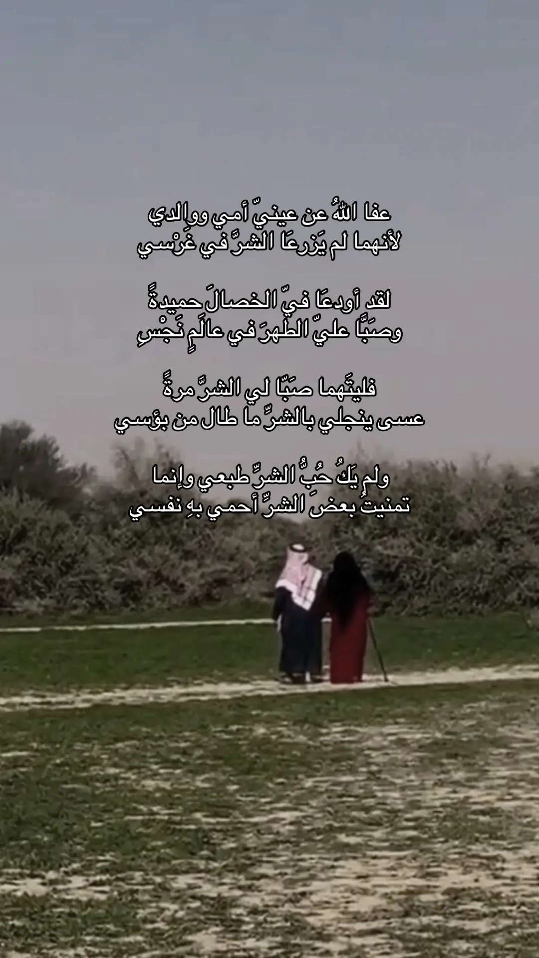 #شعر #قصيد #ابيات #أبيات_من_الشعر #مالي_خلق_احط_هاشتاق 