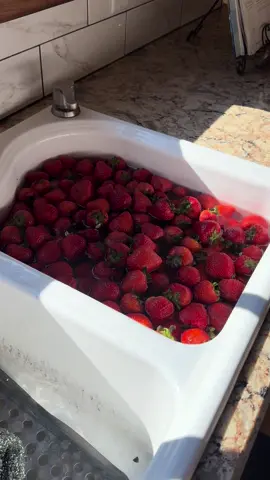 4 days of delicious strawberry recipes. 🍓🍓#fyp 