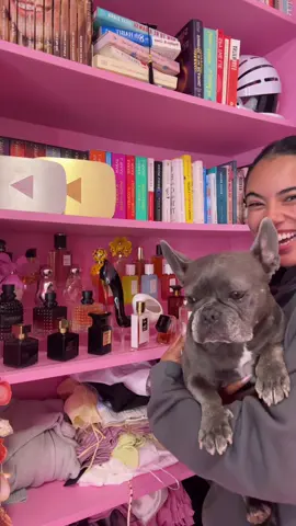 Organize my perfume collection with me! 🫧🍨🪵