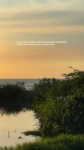 Que la vida nos regale millones de momentos maravillosos, donde el alma esté en paz y el corazón feliz. #atardecer #escritos #aves #mensajespositivos #fyppp 