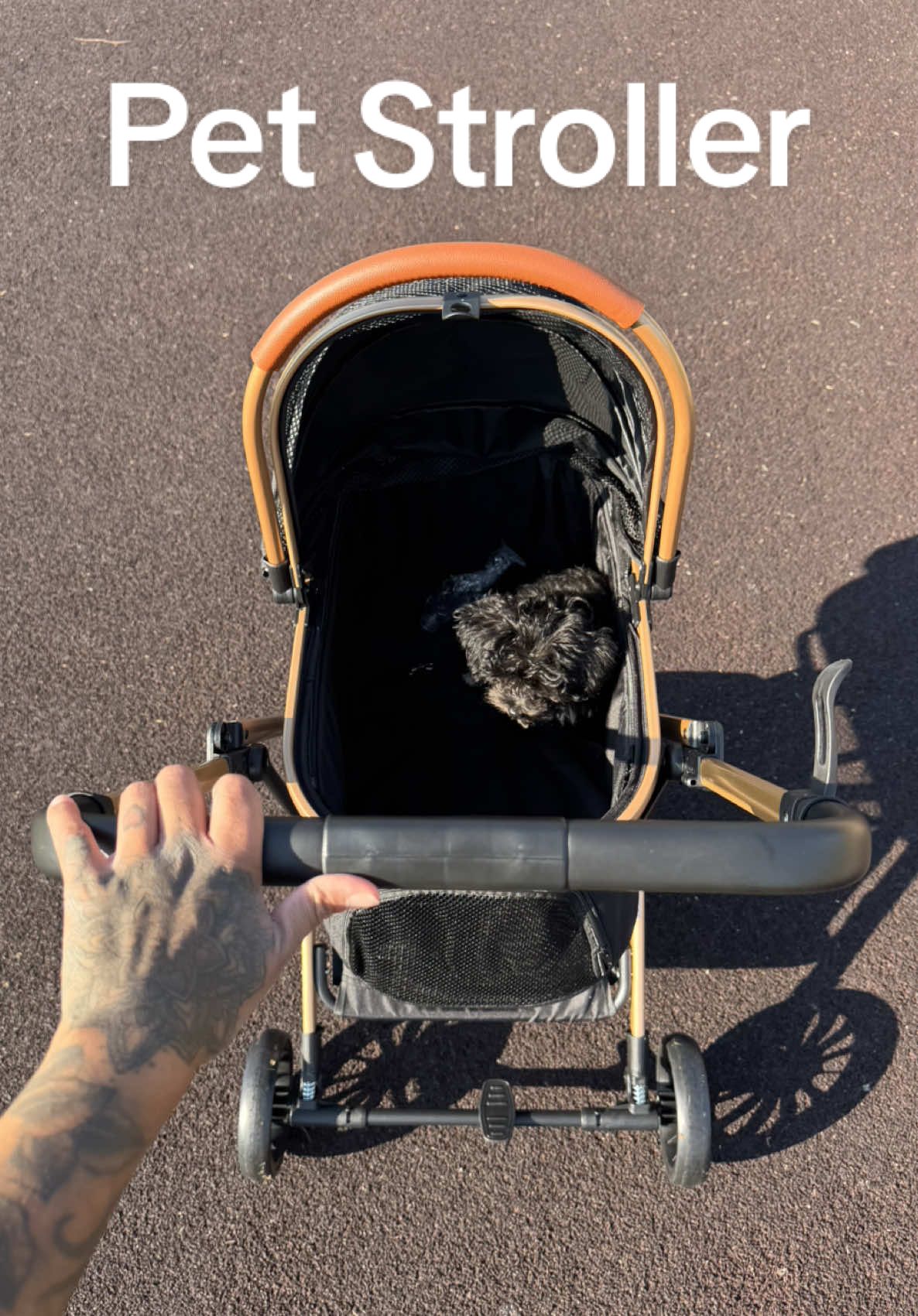 I picked up a pet stroller for my puppy! #petstroller #tiktokshoplabordaysale #tiktokshopcreatorpicks #pets #stroller 