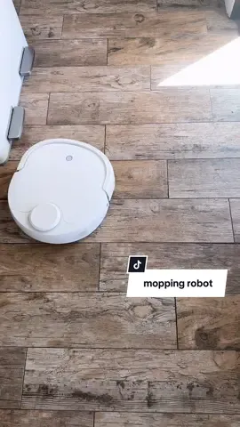 He’s a member of our family at this point. @Narwal Robotics #mopping #CleanTok #moppingrobot #creatorsearchinsights 