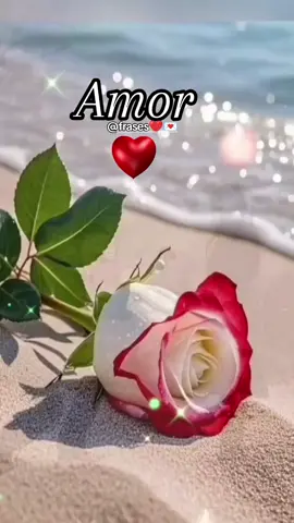 frases de amor poemas de amor videos románticos palabras dedicatorias para tu amor nuestro amor te amo #frasesbellasdeamor❤️💌 #poemasdeamor❤️💌 #videosparadedicar❤️💌  #videosdesmor❤️💌 #elyherencia💌 