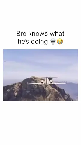 keep ya seat belts on 🤠  #gta5 #gtav #gta5_funny #meme #plane 
