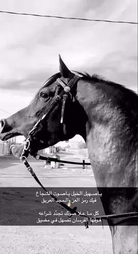 #خيل_وخياله🐎 #الخيل_العربي_الاصيل🐎 #روح_حرة_وقلب_لا_يخشى_إلا_الله #الحمدلله_دائماً_وابداً❤️ #fyp 
