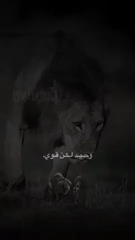 asmar 