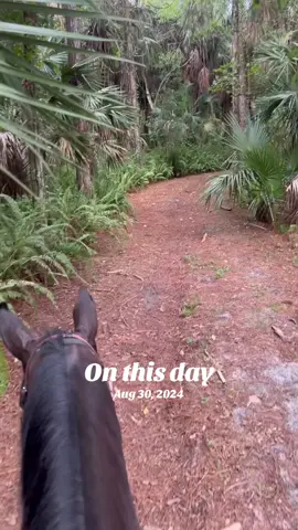 #onthisday 