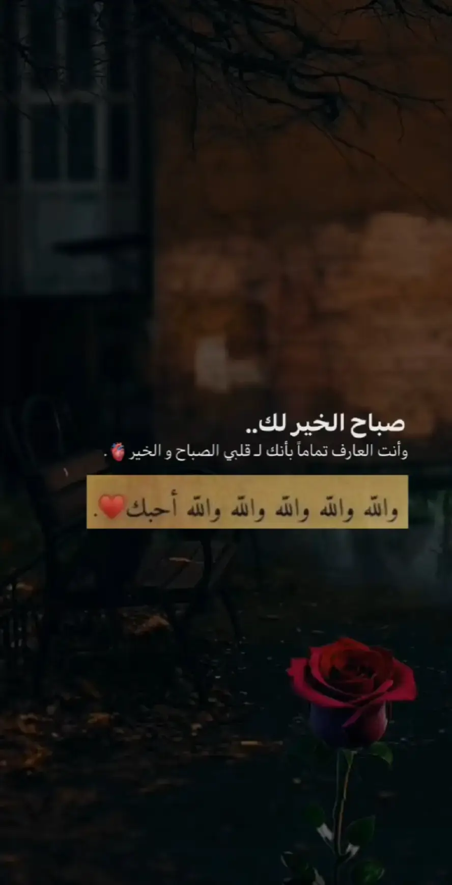 صباح الخير يانور العين 🫶❤️