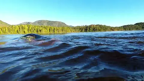 Summertime on the Rez