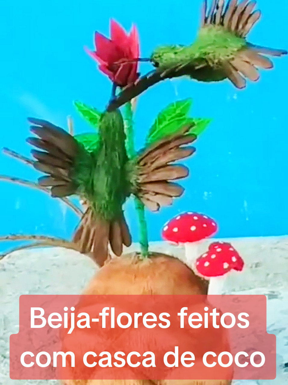 Beija_flores feitos de casca de coco #aves #artesanato #artesanatocomcoco #beijaflor #vaipraforyou @Zilene Gonçalves @Zilene Gonçalves @Zilene Gonçalves 