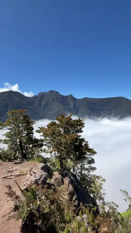 #bulubialo #bulubialo2366mdpl #bontolojong #mountain #lautanawan 