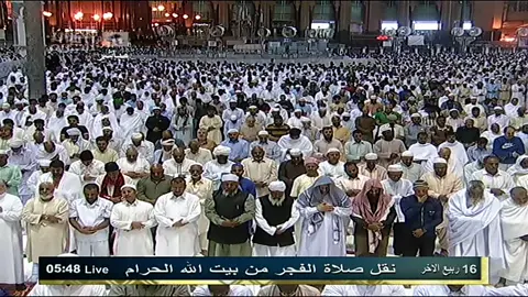 عجيبة تلاوات بلبل الحرم 🤍. #اذكروا_الله #islam ##الشيخ_عبدالله_الجهني #تلاوة_خاشعة 