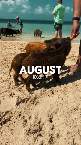 #CapCut August Dump Template-Just click 