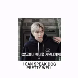 sunoo is an absolute diva guys (yes ive posted this 3 times) #sunoo #kimsunoo #enhypen #fyp #viral sunoo enhypen dont sell