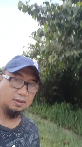 Mancingnya ditunda dulu guys karena ada isu mau ada demo. #nabire_tiktok_comunity #papua #joging 