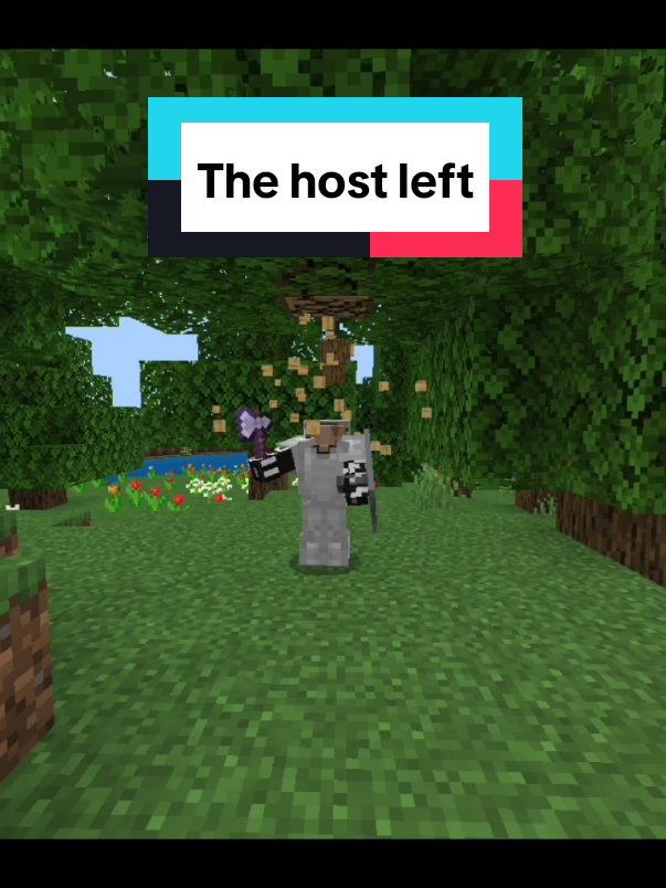 They never tell you when they're leaving either 😭 #Minecraft #host #leave #game #leavegame 