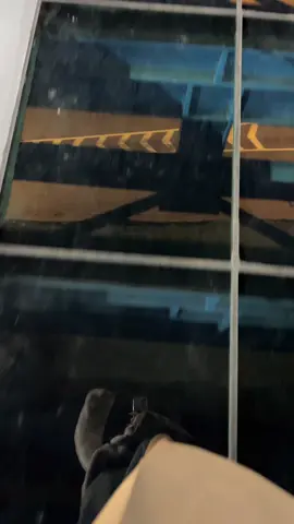 alessia en el puente transparente