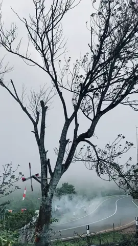 🕊️🌫️  #alam #brebes #gunungliosalembrebes #kabut