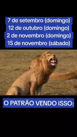 #humor #meme #fypシ #videoviral #shorts 