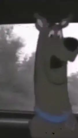 The Scooby-Doo Project (1999) edit #blairwitch #scoobydoo #halloween #kimpetras #autumnaesthetic @Scooby–Doo @kim petras 