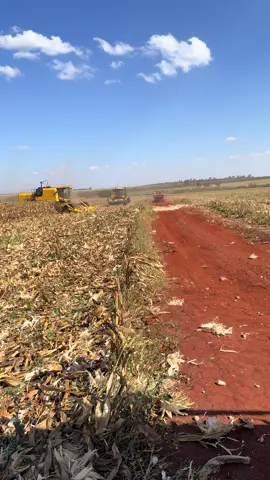 #Agro_Preto #tc490 #tczeiro #newholland #saroba 