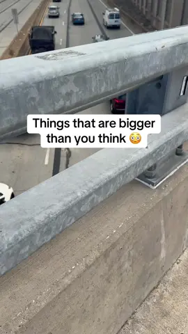 Things That Are Bigger Than You Think 😳 #fyp #big #interesting 