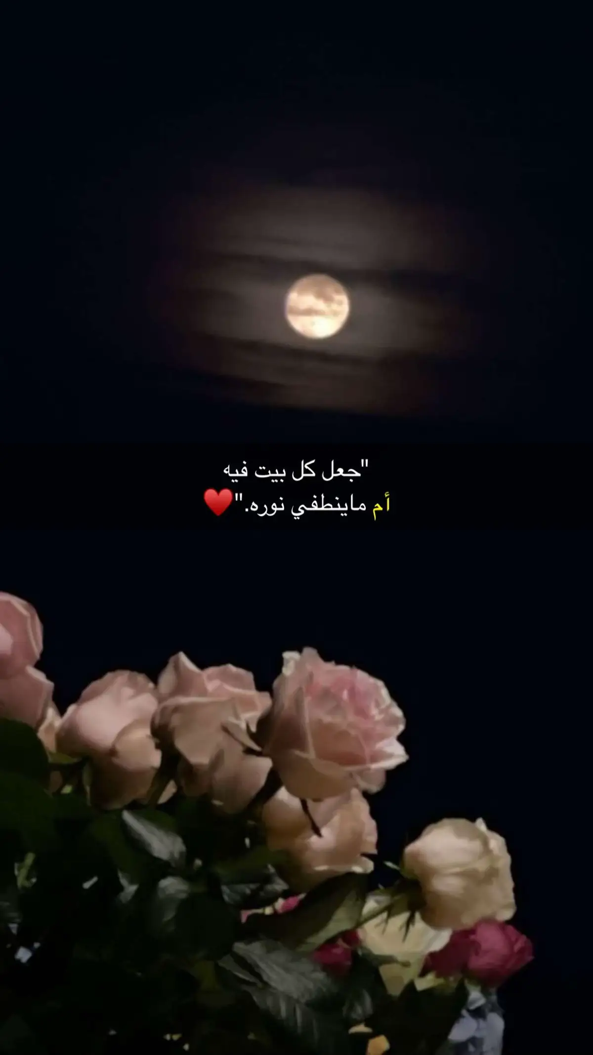 يارب طول بعمر كل الامهات وضاعف اجورهم  وارحم كل ام فقدوها احبابها 💔😩