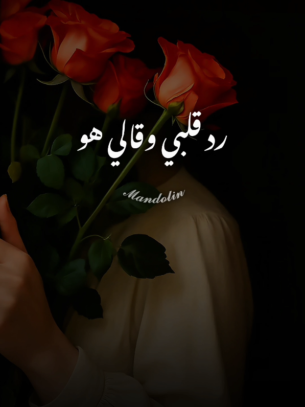 كله قالي اشمعنا هو🤎🤎 #mandolin🍂  #تصميم_فيديوهات🎶🎤🎬 