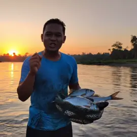 BUTIRAN VITAMIN IKAN #potas #potasikan #obatikan #vitaminikan #fyp 