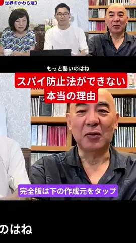 #日本保守党#スパイ防止法
