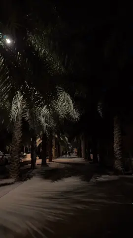 #explore #fyp #اكسبلور #اكسبلورexplore #ضيدان_بن_قضعان 